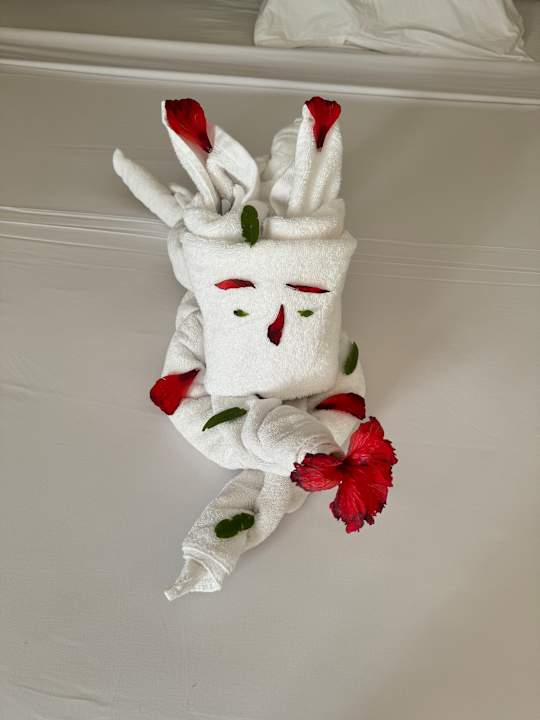 Zimmer Steigenberger Coraya Beach - Adults only