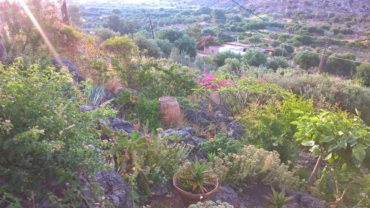 Gartenanlage Apartments Katerina