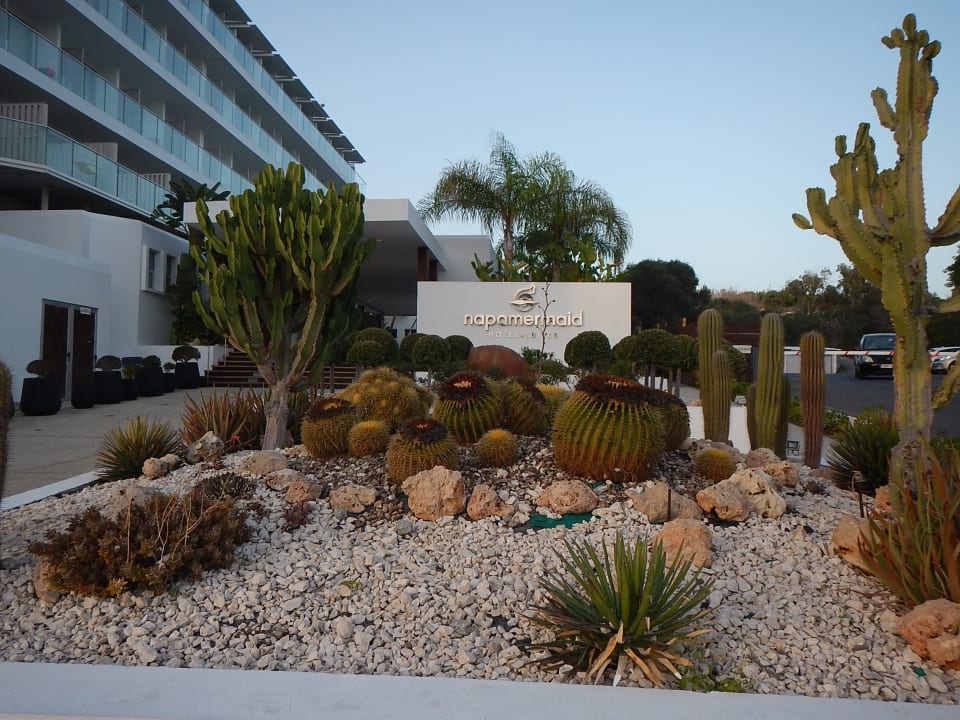 Sehr schön angelegt Napa Mermaid Hotel & Suites