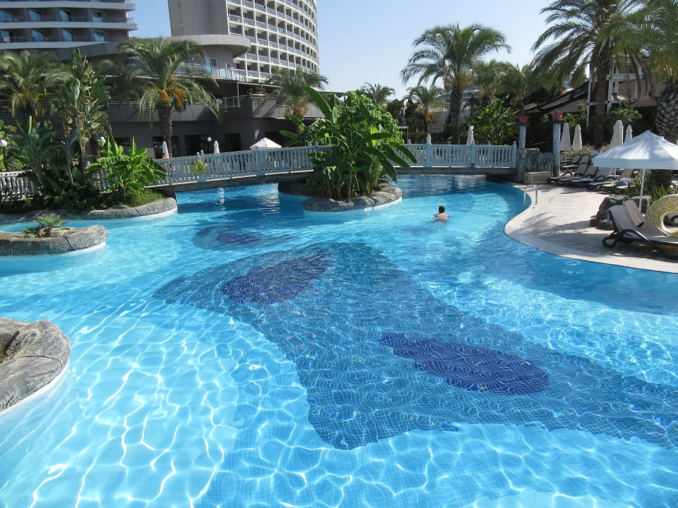 Pool Royal Wings Hotel