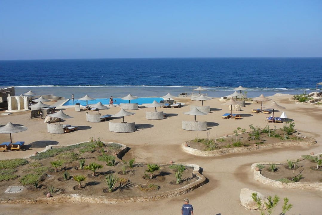 Strand und Pool The Oasis Dive Resort