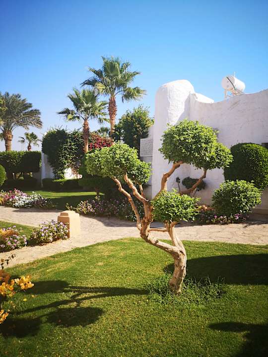 Gartenanlage Sharm Club Beach Resort