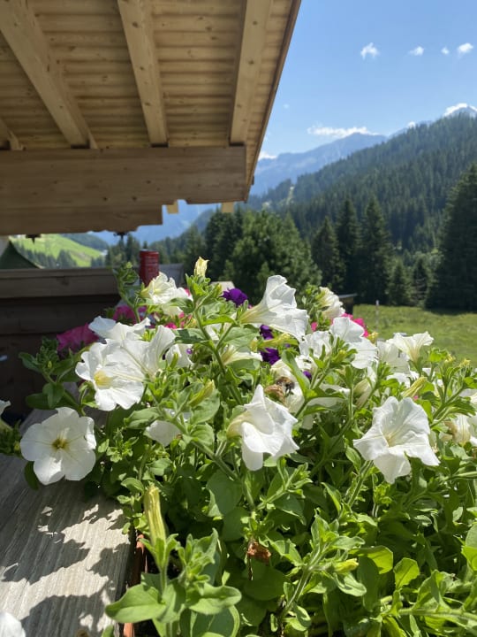 Ausblick Berghotel Ronach