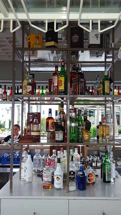 Gastro Acanthus Cennet Barut Collection