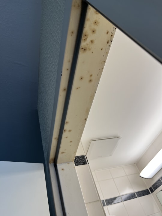 Zimmer acom Hotel Berlin Kurfürstendamm