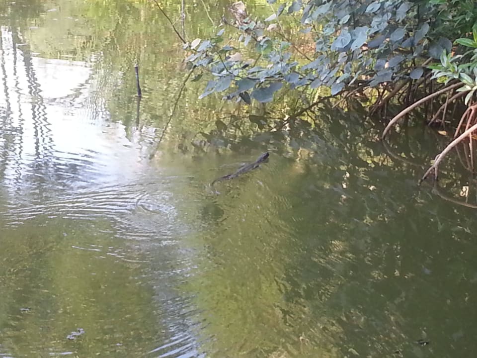 Garten Dusit Thani Krabi Beach Resort