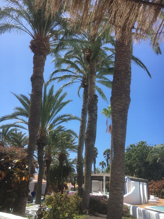 Außenansicht Aldiana Club Fuerteventura