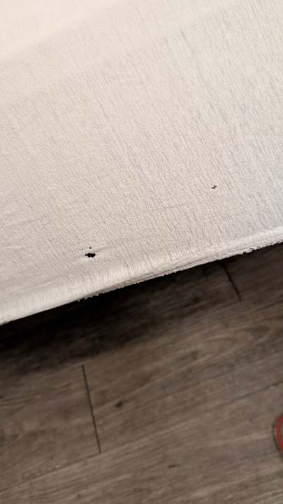 Zimmer Pharos zur Seeve