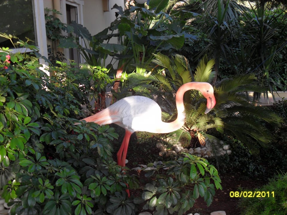 Belek Beach Resort Belek Beach Resort Hotel