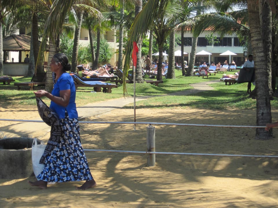 Blick vom Strand zum Hotel Mermaid Hotel & Club