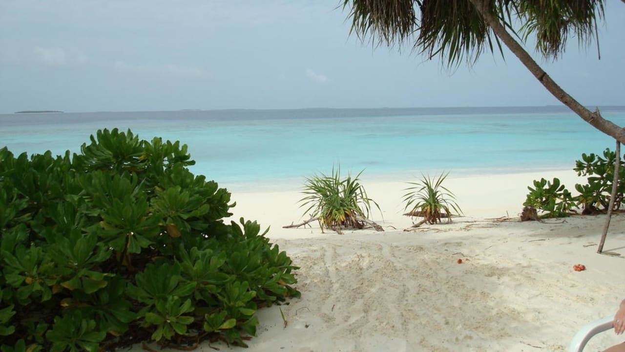 Blick auf das Meer Adaaran Select Meedhupparu Island Resort - Premium All Inclusive