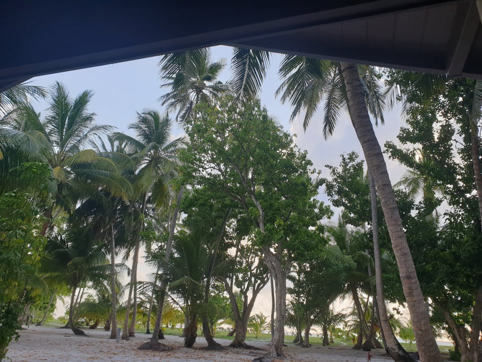 Ausblick Meeru Maldives Resort Island