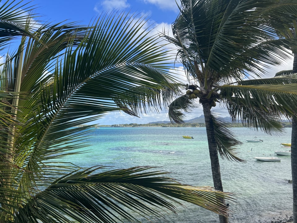 Ausblick Tropical Attitude - Adults only