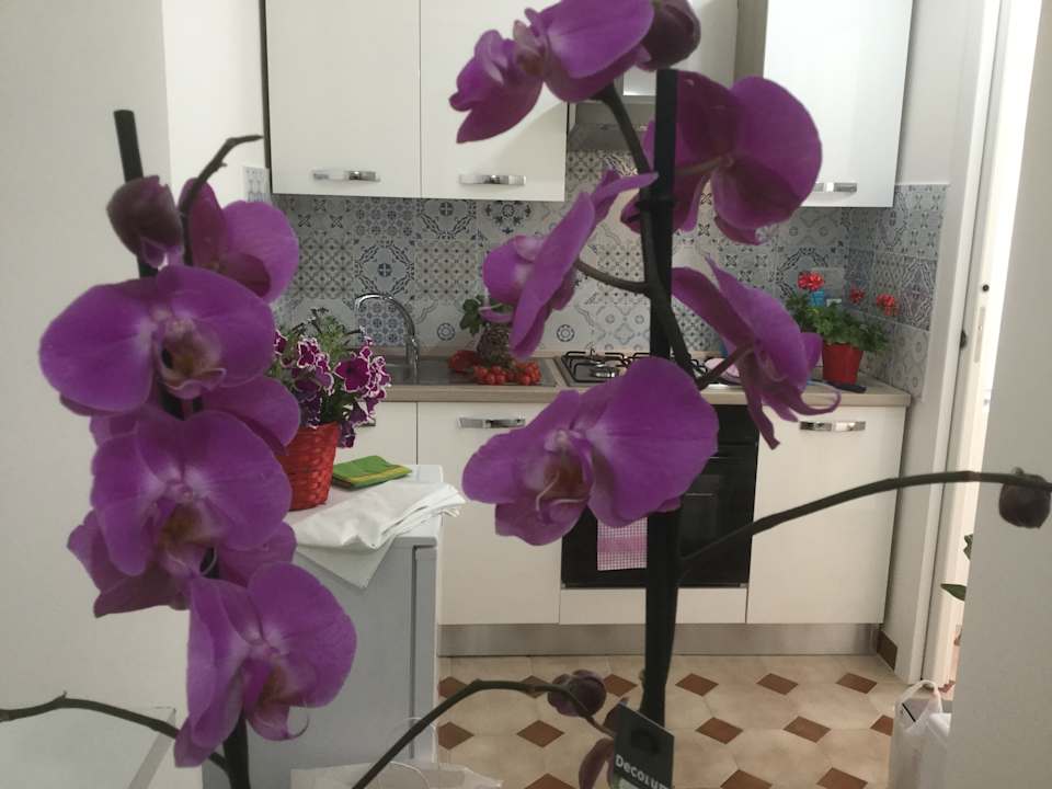 Zimmer Avola Flats First Floor