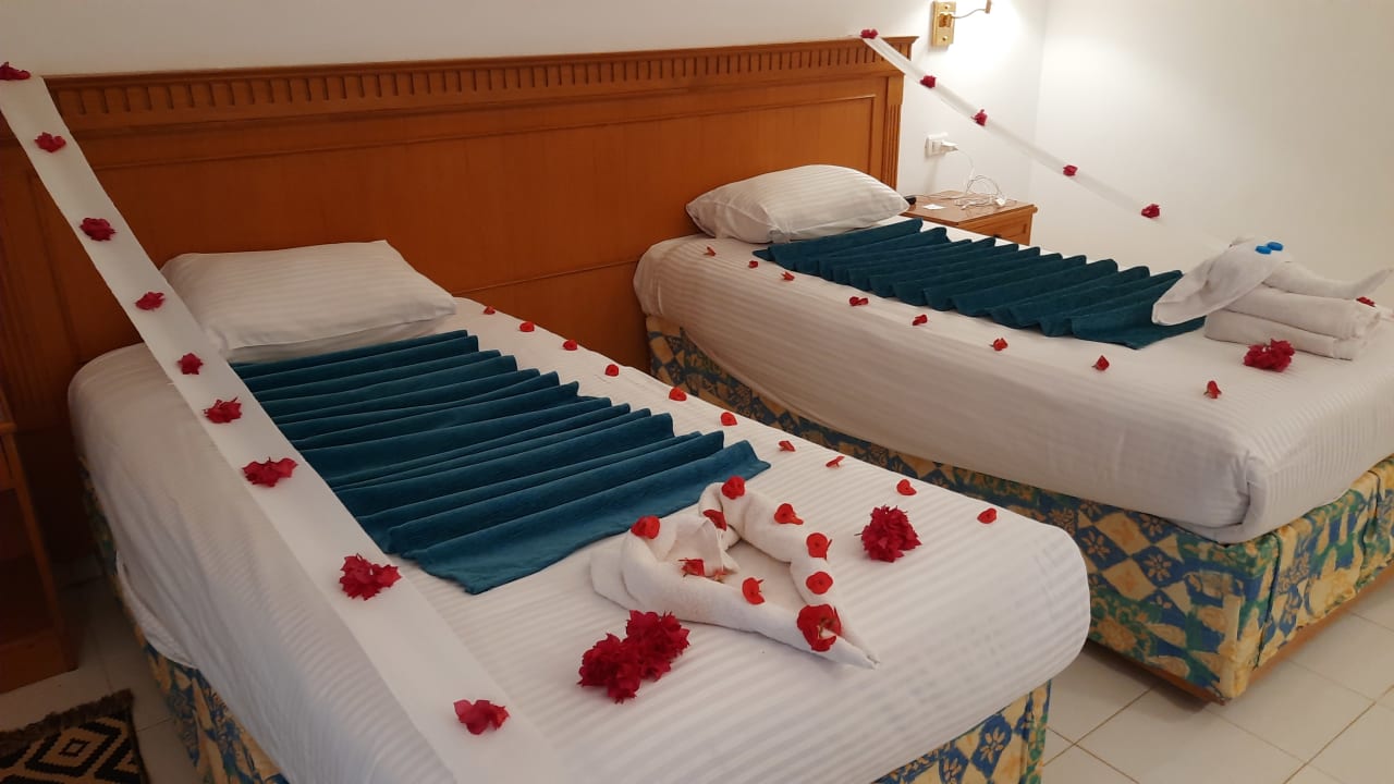 Zimmer MG Alexander The Great Hotel