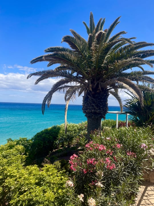 Gartenanlage R2 Pajara Beach