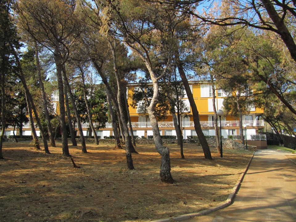 Hotel mit Pinienwald Valamar Sanfior Hotel & Casa