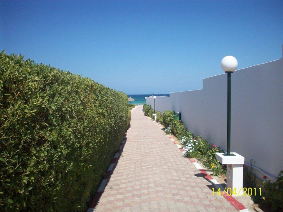 Strand Royal Jinene
