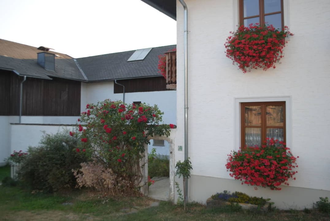Die Rosen find ich so schön Bauernhof Grainmeisterhof