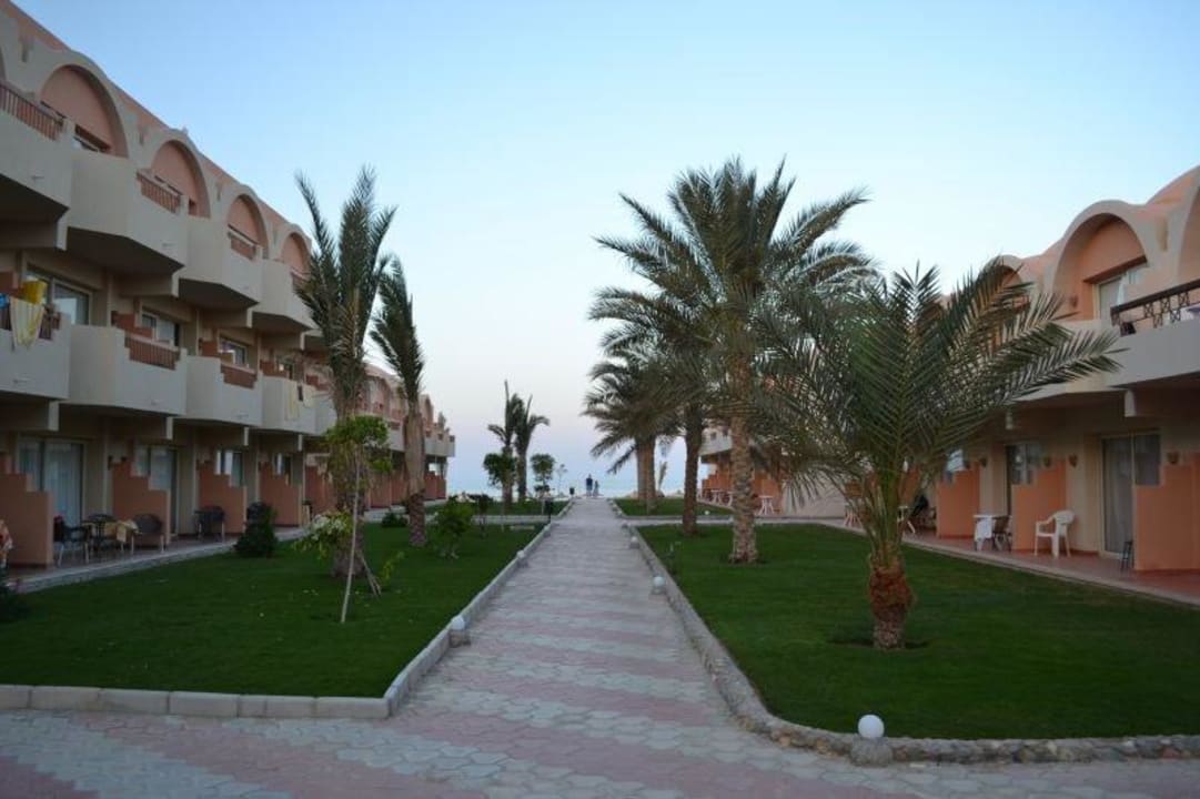 Ogród pomiędzy budynkami Three Corners Sea Beach Resort