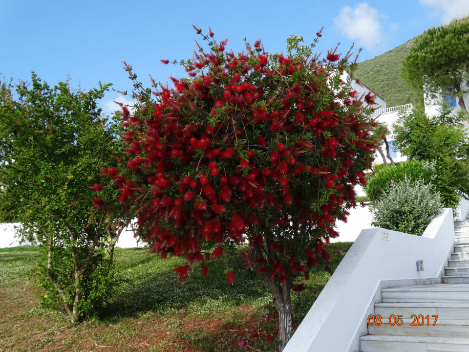 Gartenanlage Porto Galini