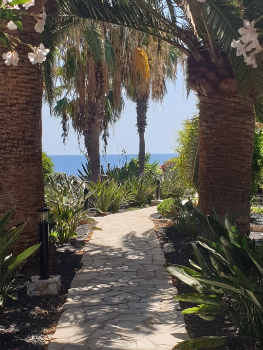 Gartenanlage Marina Playa Suite Hotel