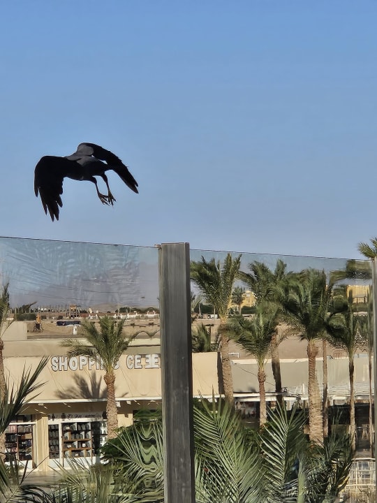 Außenansicht Jaz Aquaviva