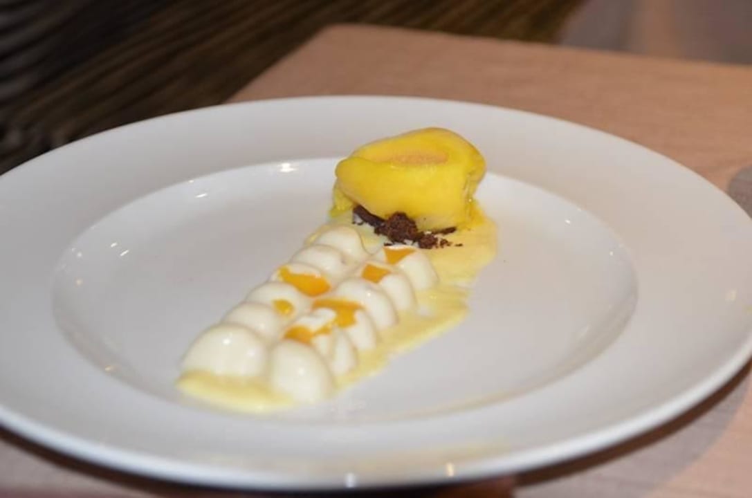 Panna Cotta mit Mangoeis im ital. Restaurant Catalonia Playa Maroma