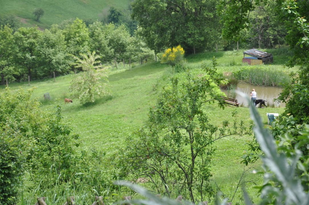 Teich und Hundewiese Ferienhaus Il Rustico