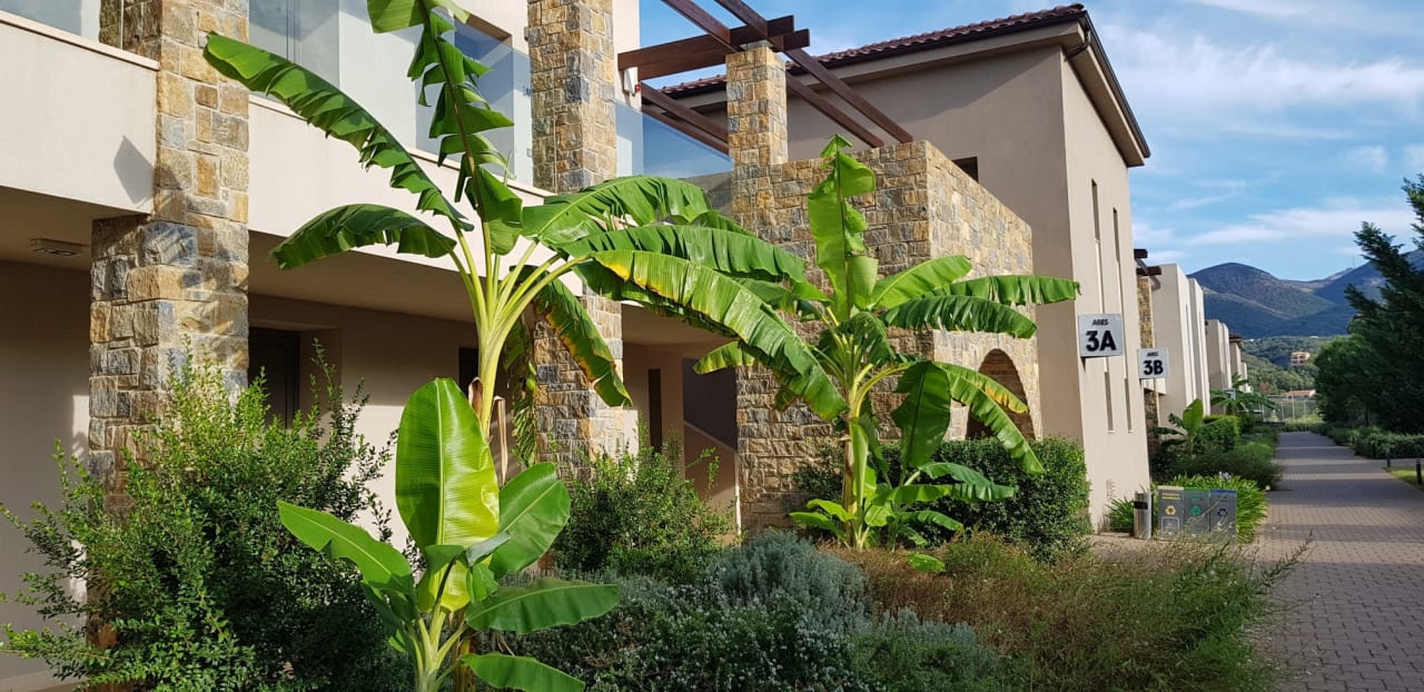 Gartenanlage Almyros Beach Resort & Spa