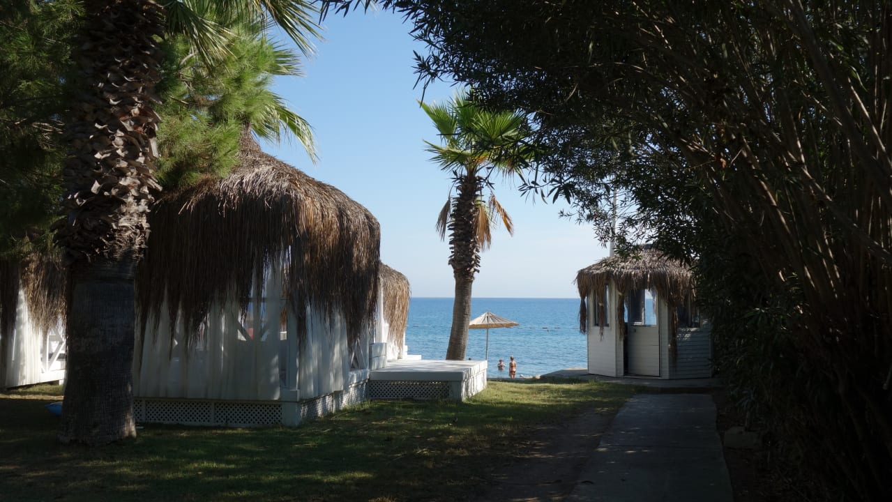 Ausblick Balmy Foresta