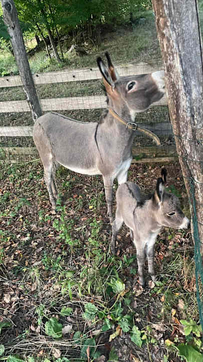 Sonstiges Awesome Home In Skare With Sauna