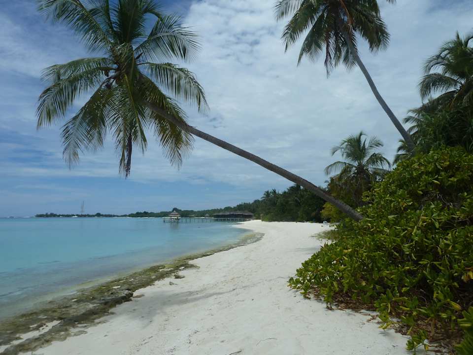 Nd hinter dem The Reef Restaurant Kuramathi Maldives