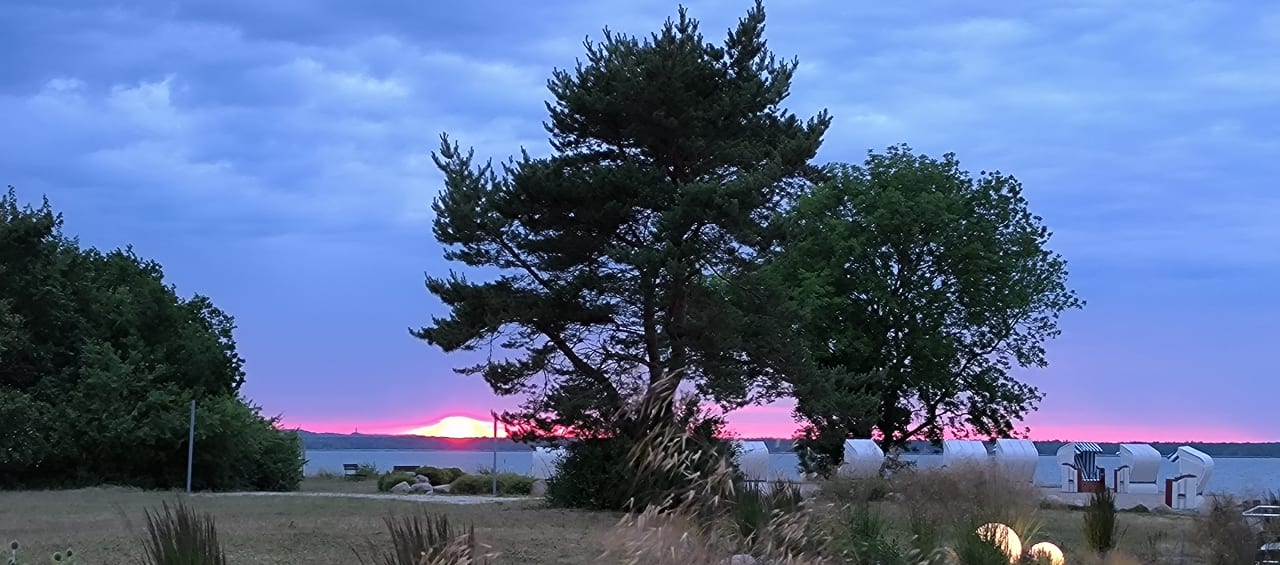 Ausblick AEDENLIFE Hotel & Resort Rügen