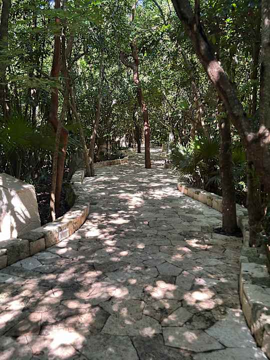 Gartenanlage Catalonia Royal Tulum Beach & Spa Resort - Adults only