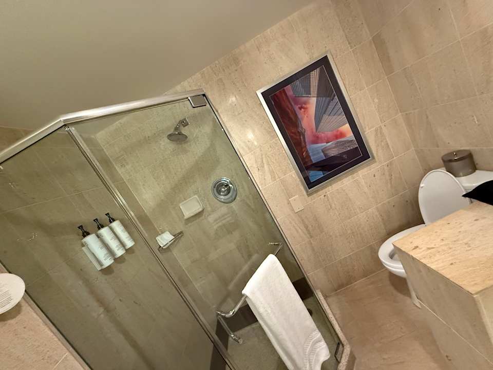 Zimmer Hotel Swissotel Chicago