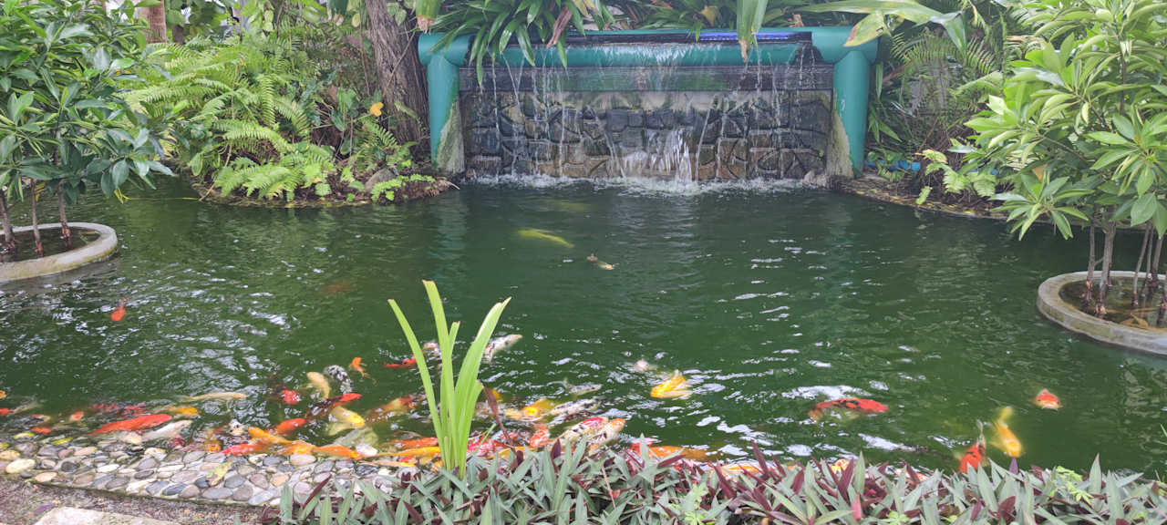 Gartenanlage Thulhagiri Island Resort