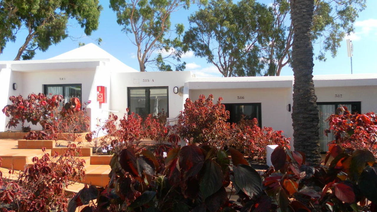 Unser Appartement Hotel THB Flora