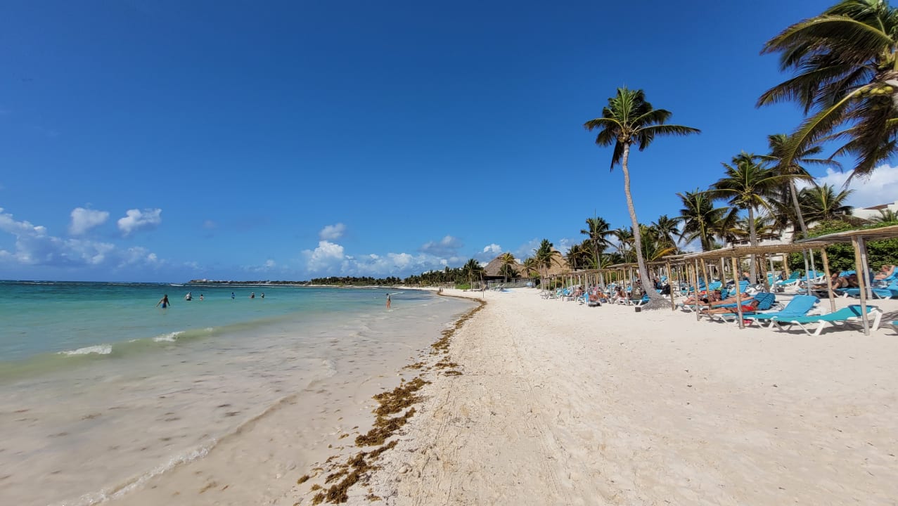 Strand Akumal Bay Beach & Wellness Resort