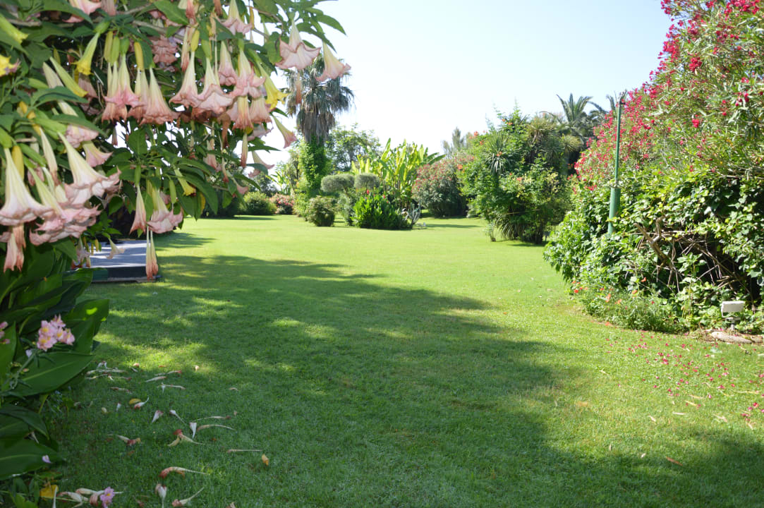 Gartenanlage Hotel Marina Club