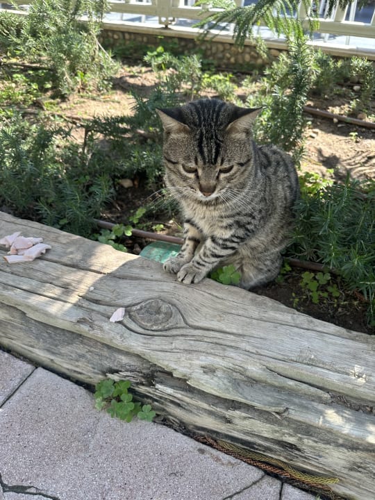 Gartenanlage Belek Beach Resort Hotel