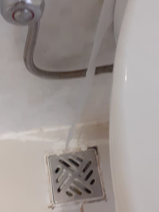 Zimmer Clover Magic Nova Beach