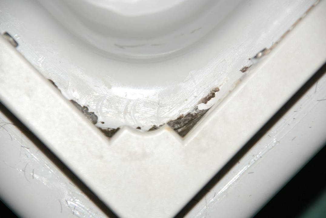 Grzybek w wlochami Hotel Polonia