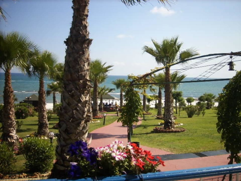 Meerblick  Hotel Turan Prince