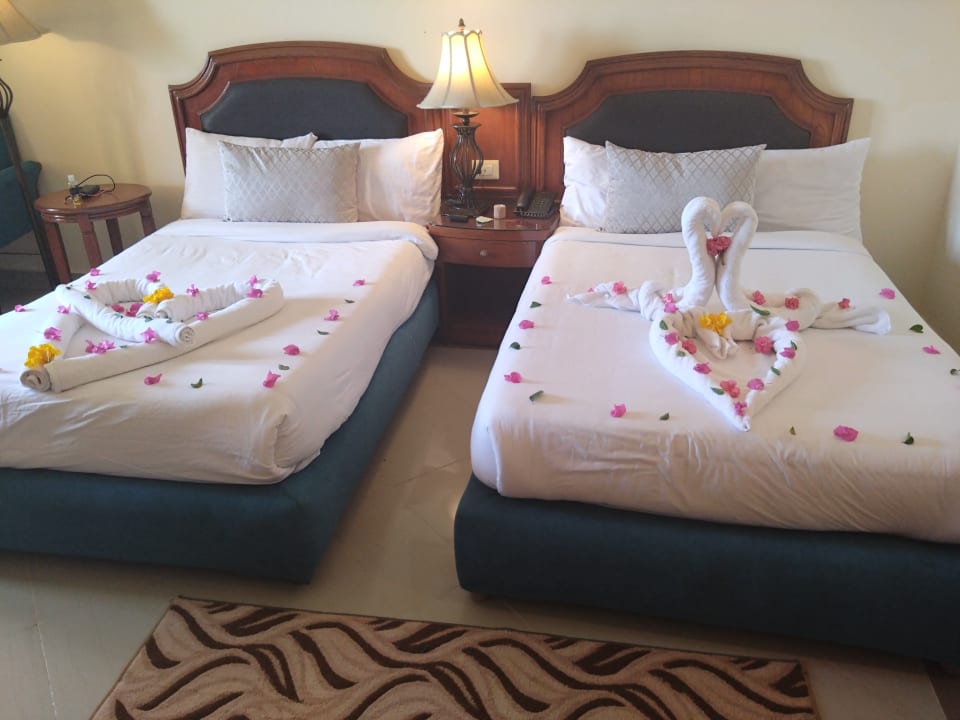 Zimmer Coral Hills Resorts & SPA