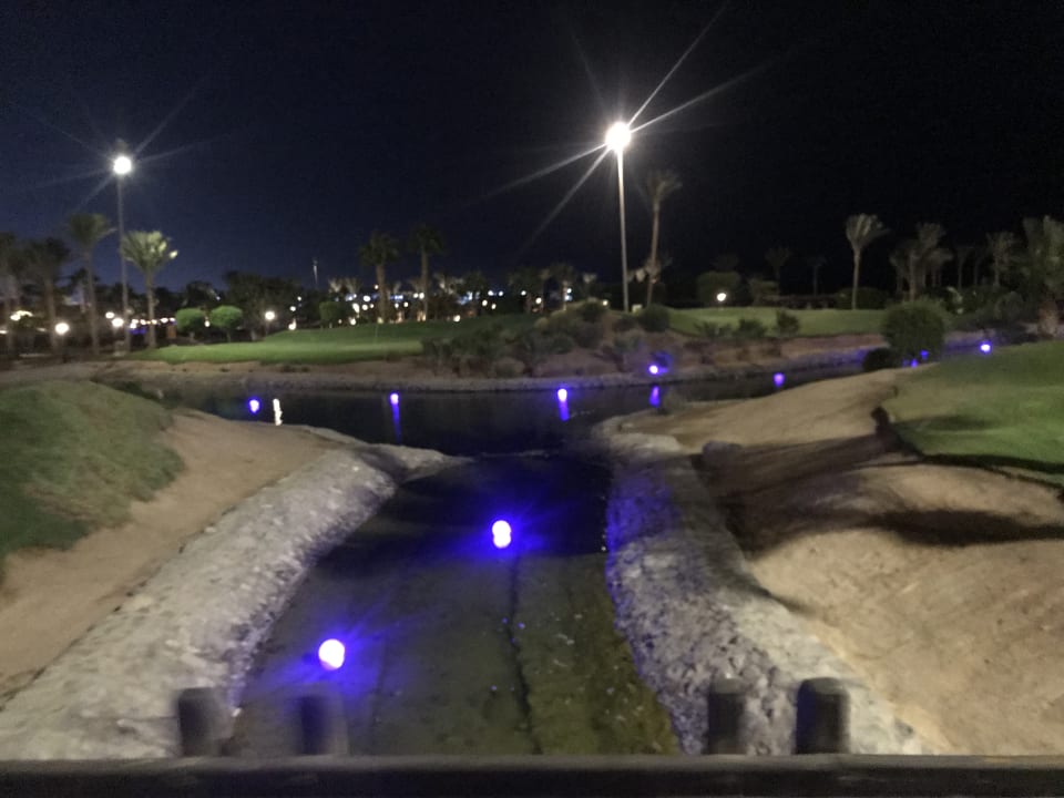 Gartenanlage Steigenberger ALDAU Beach Hotel