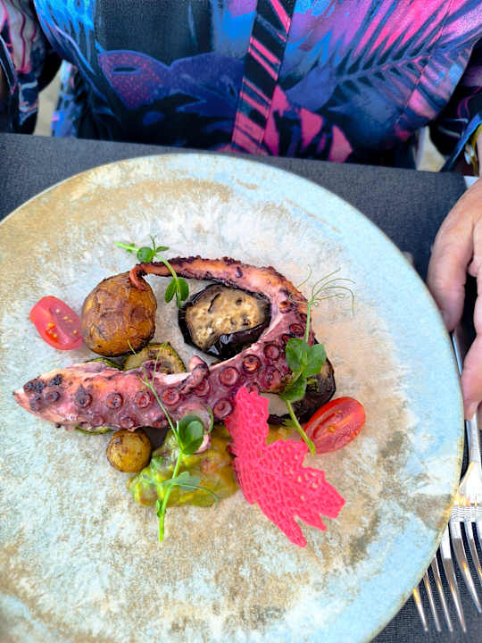 Gastro Sentido Marea