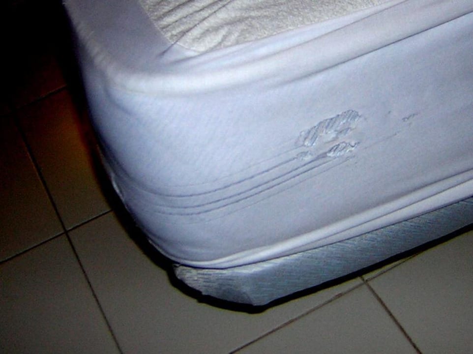 Zerschundener Matrazenschoner Mediterranean Palace Hotel