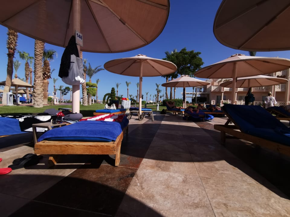 Pool Pickalbatros Palace Resort