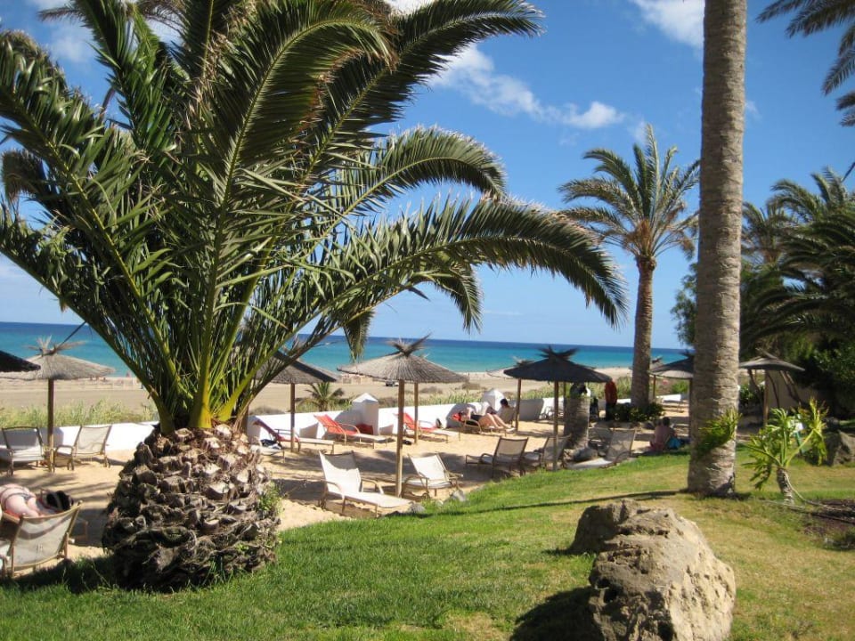 Hotelstrand SBH Hotel Costa Calma Palace